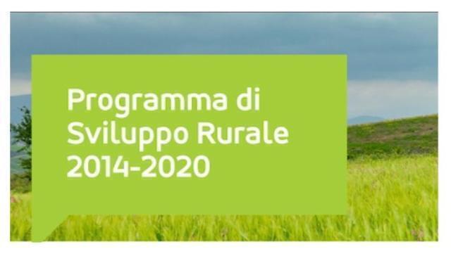 Sviluppo rurale: nel 2020 erogati oltre 3 miliardi di euro alle imprese agricole