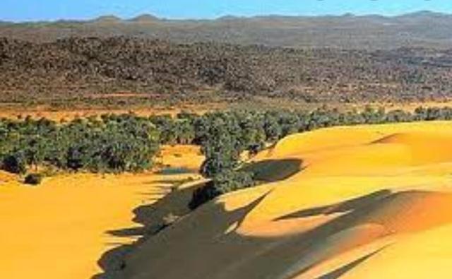 La Grande Muraglia Verde per combattere siccità e carestie e creare prosperità e benessere nel Sahel e negli altri Paesi Sahariani dell’Africa. Impegno arduo dell’ONU