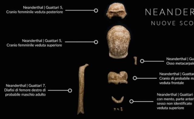 Neanderthal: dalla Grotta Guattari nuove incredibili scoperte
