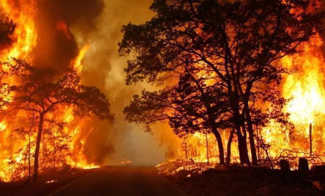 L’Italia ha il primato europeo per incendi divampati, seconda per ettari di terra bruciati