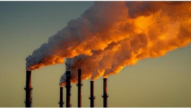 OXFAM: compensare le emissioni di CO2 accaparrandosi nuove terre affamerà il pianeta