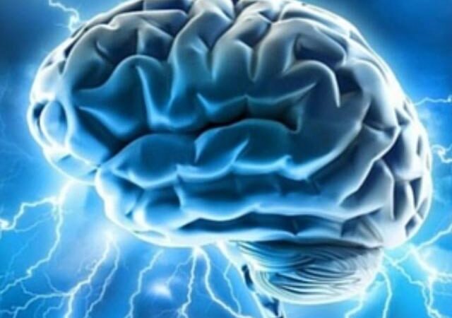 Una nuova ricerca italiana per affinare la mappa del cervello