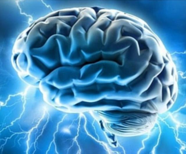 Una nuova ricerca italiana per affinare la mappa del cervello