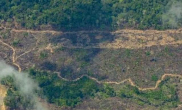 Allarme deforestazione in Amazzonia: mai così da 15 anni