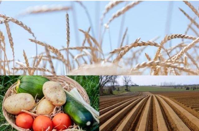 Agricoltura: entra in vigore la nuova politica agricola comune