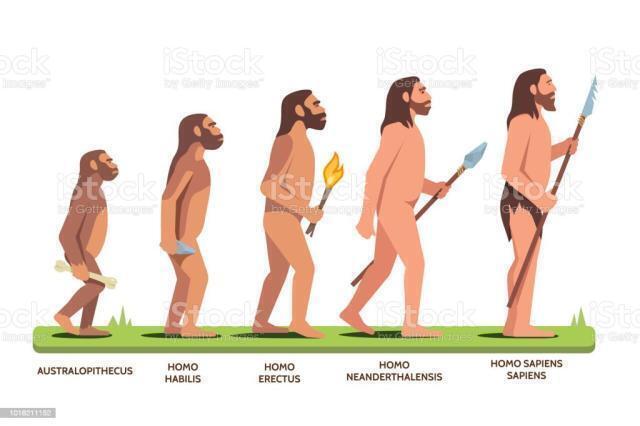 Uomini. Homo Sapiens. La specie dominante sul pianeta terra