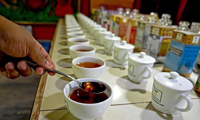 Le conseguenze della guerra sulle esportazioni di tè dello Sri Lanka
