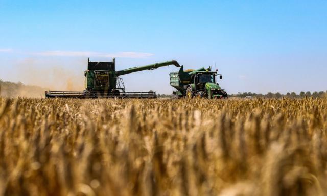 I 5 Paesi più colpiti dal blocco del grano