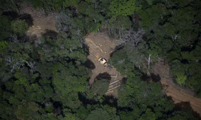 Le piste di atterraggio segrete sulle rotte dell’oro in Brasile