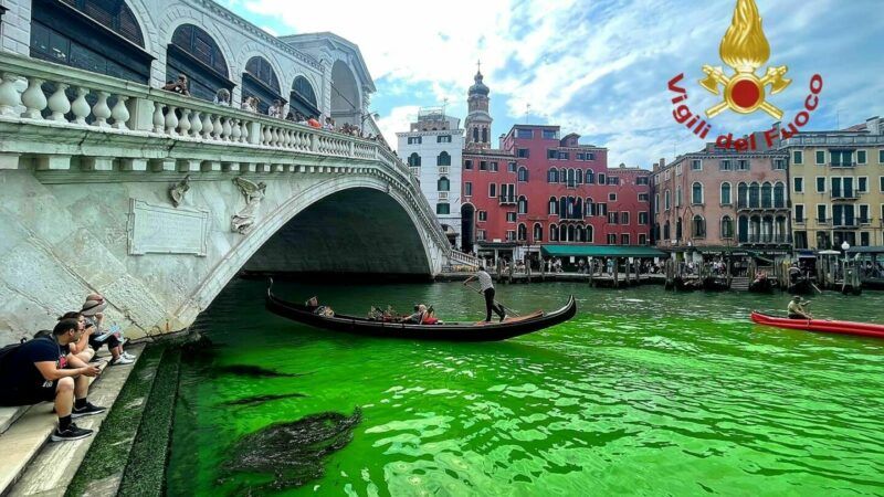 Chiazza verde nel Canal Grande a Venezia