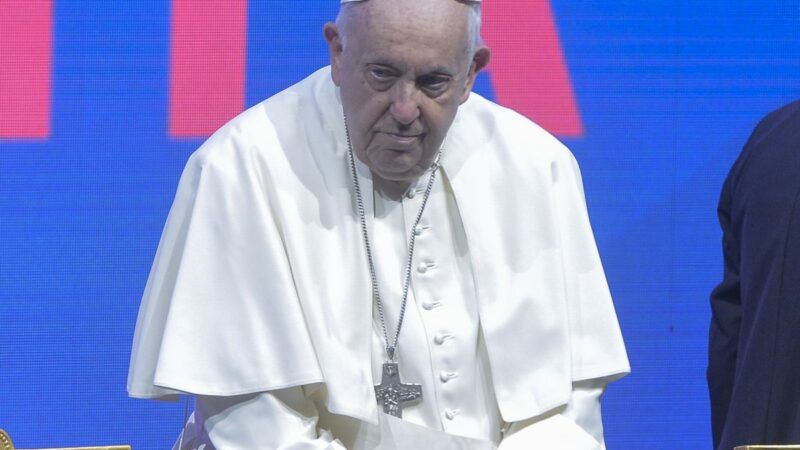 Clima, Papa “Porre fine all’insensata guerra alla nostra casa comune”