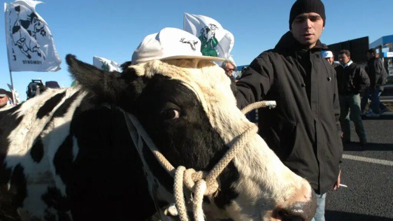Protesta trattori, delegazione a San Pietro con la mucca Ercolina