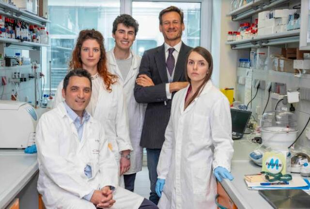 Cellule artificiali per combattere i tumori: la nuova ricerca di UniTrento