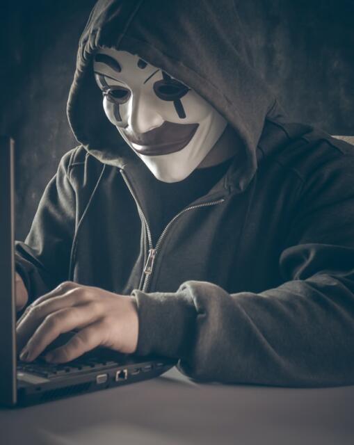 L’evoluzione delle organizzazioni criminali nel cyberspace