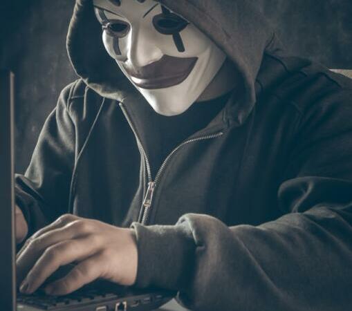L’evoluzione delle organizzazioni criminali nel cyberspace